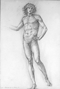 愛、薔薇のロマンス 作： Edward Coley Burne Jones