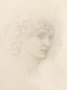 メイ・モリス（鉛筆）の頭