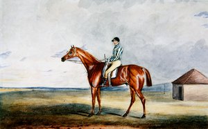 ロード・ジャージーの「リドルズワース」H・エドワーズ・アップ、1931年頃（水彩・紙） 作： Edward Duncan