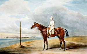 ローサー卿の「スパニエル」W.ウィートリー、エプソムにて、1831年頃（水彩・紙） 作： Edward Duncan