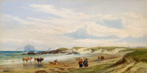 The Bass Rock 作： Edward Duncan