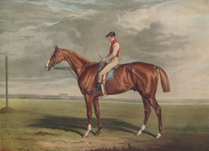 「ヴェロキペード、聖レジェの勝者、1828年」、c1828、1929年 作： Edward Duncan