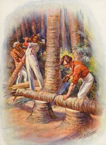 キャプテン・マリヤット著『マスターマン・レディ』の挿絵（カラーリトグラフ） 作： Edward Frederick Skinner