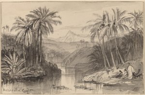 アビサベラ、セイロン、18841885。 作： Edward Lear