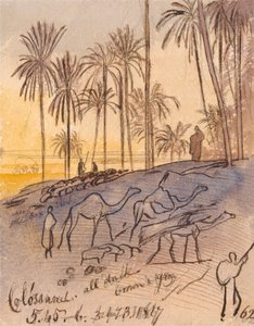 コロサネ、1867年1月3日午後5時45分～6時 (62) 作： Edward Lear