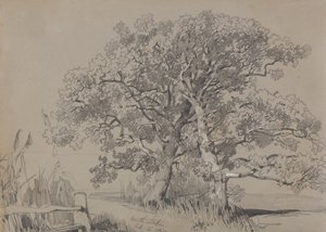 Norte Stok. 21 de outubro de 1834.