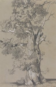 パーハム、1834 年 10 月 13 日 作： Edward Lear