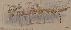 ペテナスコ、オルタ湖 作： Edward Lear