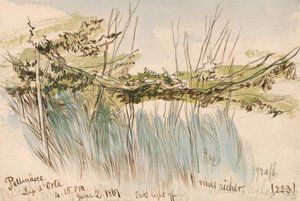 ペテナスコ、オルタ湖 作： Edward Lear