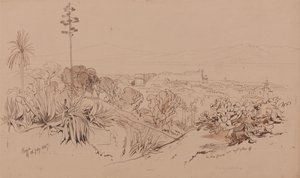 レッジョ、1847年7月26日 作： Edward Lear