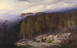ヴァルドニエッロの森、コルシカ島 作： Edward Lear