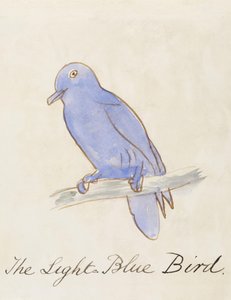 「コミックバードの16枚の絵」からの水色の鳥