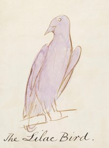 コミック鳥の16の図面からライラックの鳥（紙にペン＆インクWC）