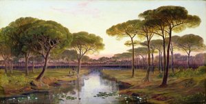 ピネタ、ラヴェンナ 作： Edward Lear