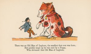 1875年頃にロンドンのフレデリックウォーンアンドカンパニーが発行した「A Book of Nonsense」から、これまでで最も小さいレグホーンの老人がいました。