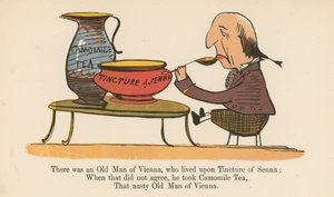 1875年にロンドンのフレデリックウォーンアンドカンパニー発行の「無意味の書」から、セナのチンキに生きたウィーンの老人がいました。 作： Edward Lear