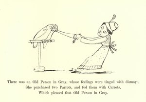 灰色の老人がいて、その感情は落胆を帯びていました 作： Edward Lear