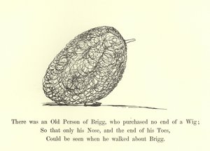 ウィッグの端を購入しなかったブリッグの老人がいました 作： Edward Lear