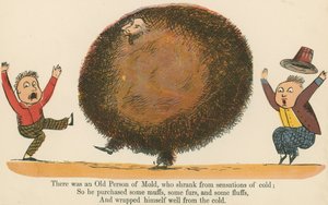 1875年頃にロンドンのフレデリックウォーンアンドカンパニーが発行した「A Book of Nonsense」から、風邪の感覚から抜け出したカビの老人がいました。 作： Edward Lear
