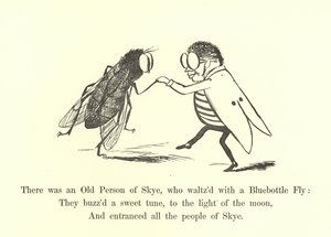 Bluebottle FlyでワルツをしたSkyeのOld Personがいました 作： Edward Lear