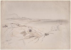  作： Edward Lear