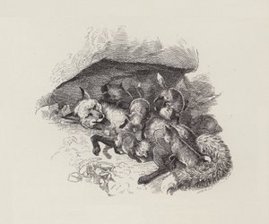 チャールズ・キングスレーの「The Water-Babies」のイラスト（彫刻）。 作： Edward Linley (after) Sambourne