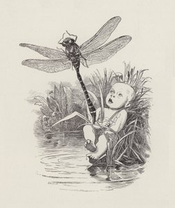 チャールズ・キングスレーの「The Water-Babies」のイラスト（彫刻）。