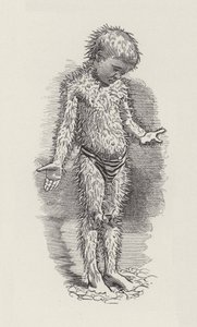 チャールズ・キングスレーの「The Water-Babies」のイラスト（彫刻）。 作： Edward Linley (after) Sambourne