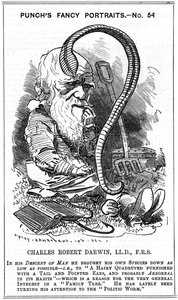チャールズダーウィン、イギリスの博物学者、1881年 作： Edward Linley Sambourne