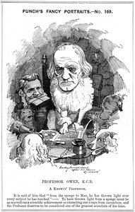 リチャードオーウェン、イギリスの動物学者、1884 作： Edward Linley Sambourne