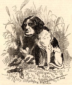 ウィリアム・GGV・バーノン・ハーコート（1827-1904 作： Edward Linley Sambourne