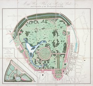 動物園の平面図、リージェンツ パーク、セント メリルボーン、ロンドン、1828 年
