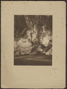 アパッチ＝ブラック・リバー（バイ・ザ・ソカモア） 作： Edward S. Curtis