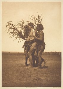 アリカラ医学の儀式-アヒルたち