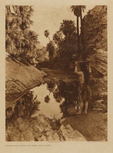 白人が来る前に - パーム・カノン 作： Edward S. Curtis
