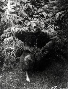ナネ・カギュル、ネイティブアメリカンの衣装 作： Edward Sheriff Curtis