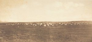 サン ダンス野営地 - ピエガン、1900 年。 作： Edward Sheriff Curtis