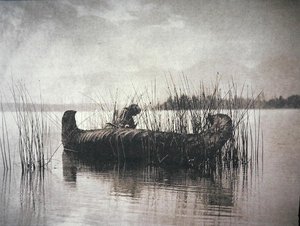 ラッシュギャザラー、モンタナ州 (白黒写真) 作： Edward Sheriff Curtis
