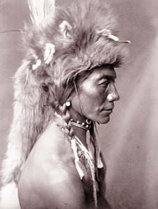 黄色い腎臓、ピーガン 作： Edward Sheriff Curtis
