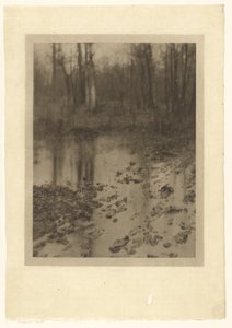 プール 作： Edward Steichen