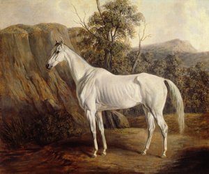 ボリビア、1836 作： Edward Troye