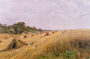 トウモロコシ畑の収穫 作： Edward Wilkins Waite