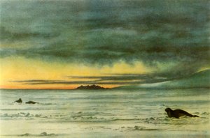 「マクマード海峡の北を見る」、1911 年、1946 年。 作： Edward Wilson