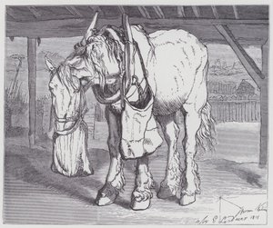カート・ホース 作： Edwin (after) Landseer