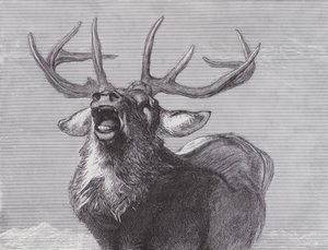 挑戦 作： Edwin (after) Landseer
