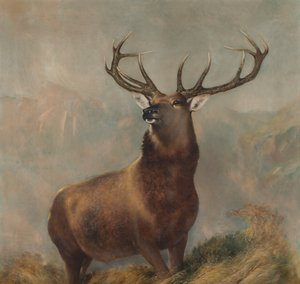 グレンの君主、1822〜73年頃（キャンバスに油彩） 作： Edwin (after) Landseer