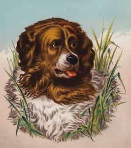 ニューファンドランド号（カラーリトグラフ） 作： Edwin (after) Landseer