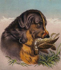 レトリーバー（カラーリトグラフ） 作： Edwin (after) Landseer