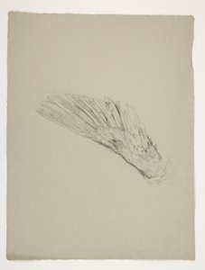 ガラハッドの幼少期の翼の研究、聖杯の探求 (ボストン公立図書館のための 15 枚の絵画のシリーズ、1901 年に完成) 作： Edwin Austin Abbey
