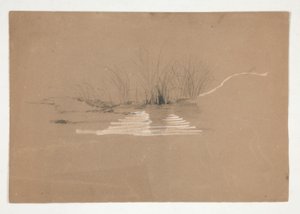 川岸の木々(?) 作： Edwin Austin Abbey